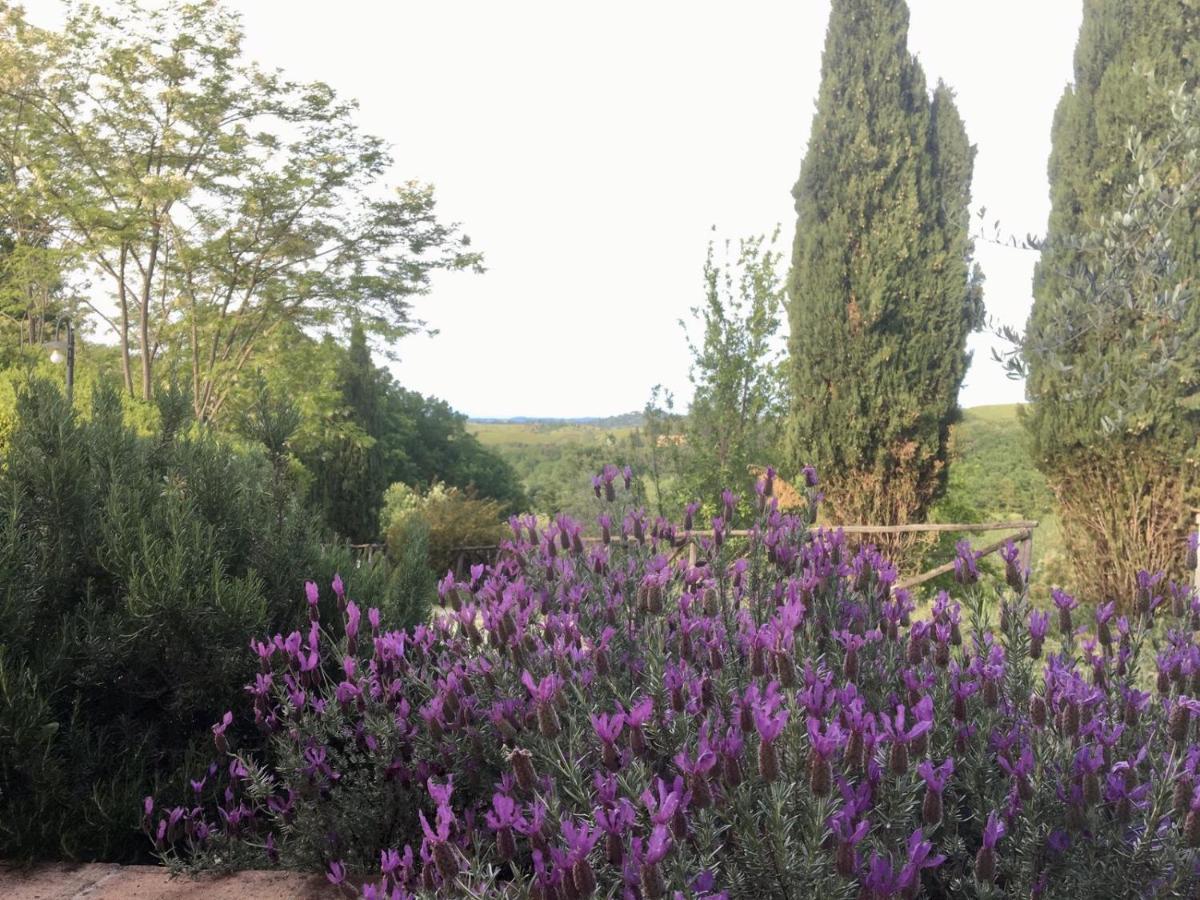 Viva House Villa Montaione Dış mekan fotoğraf