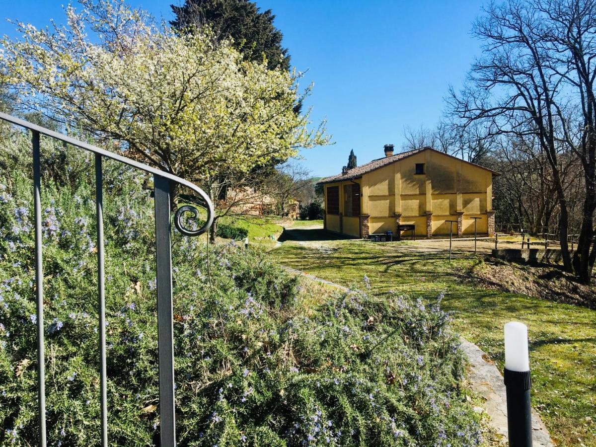 Viva House Villa Montaione Dış mekan fotoğraf